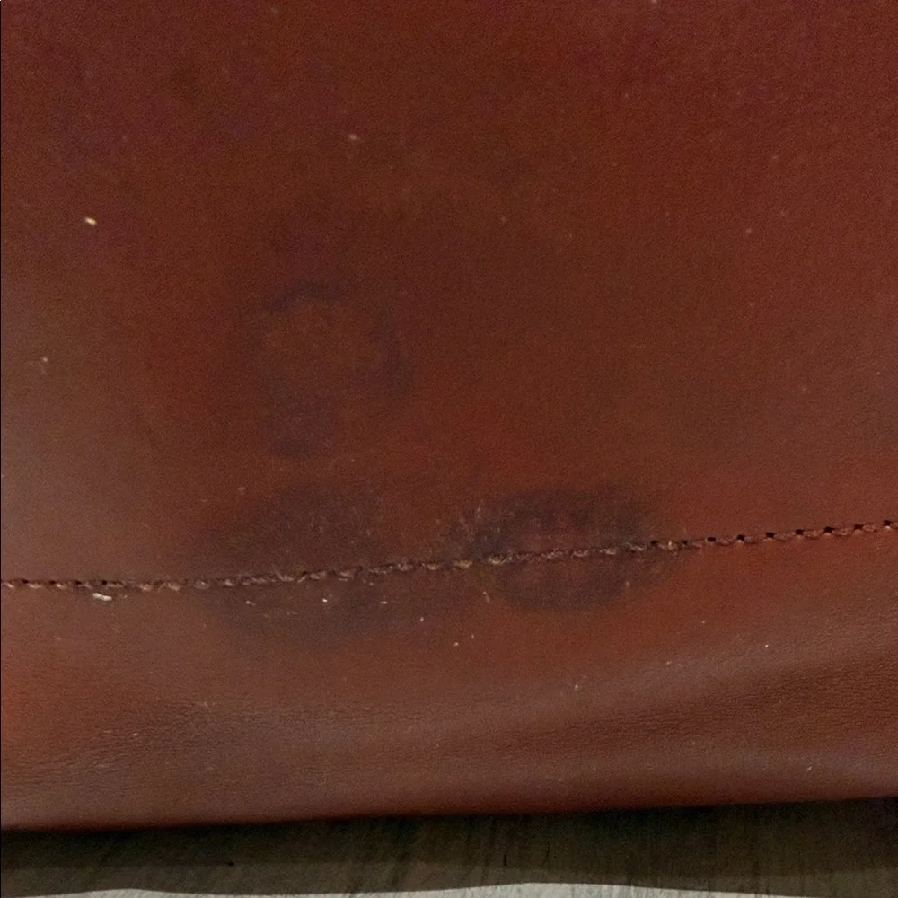 Coach luxurious hobo